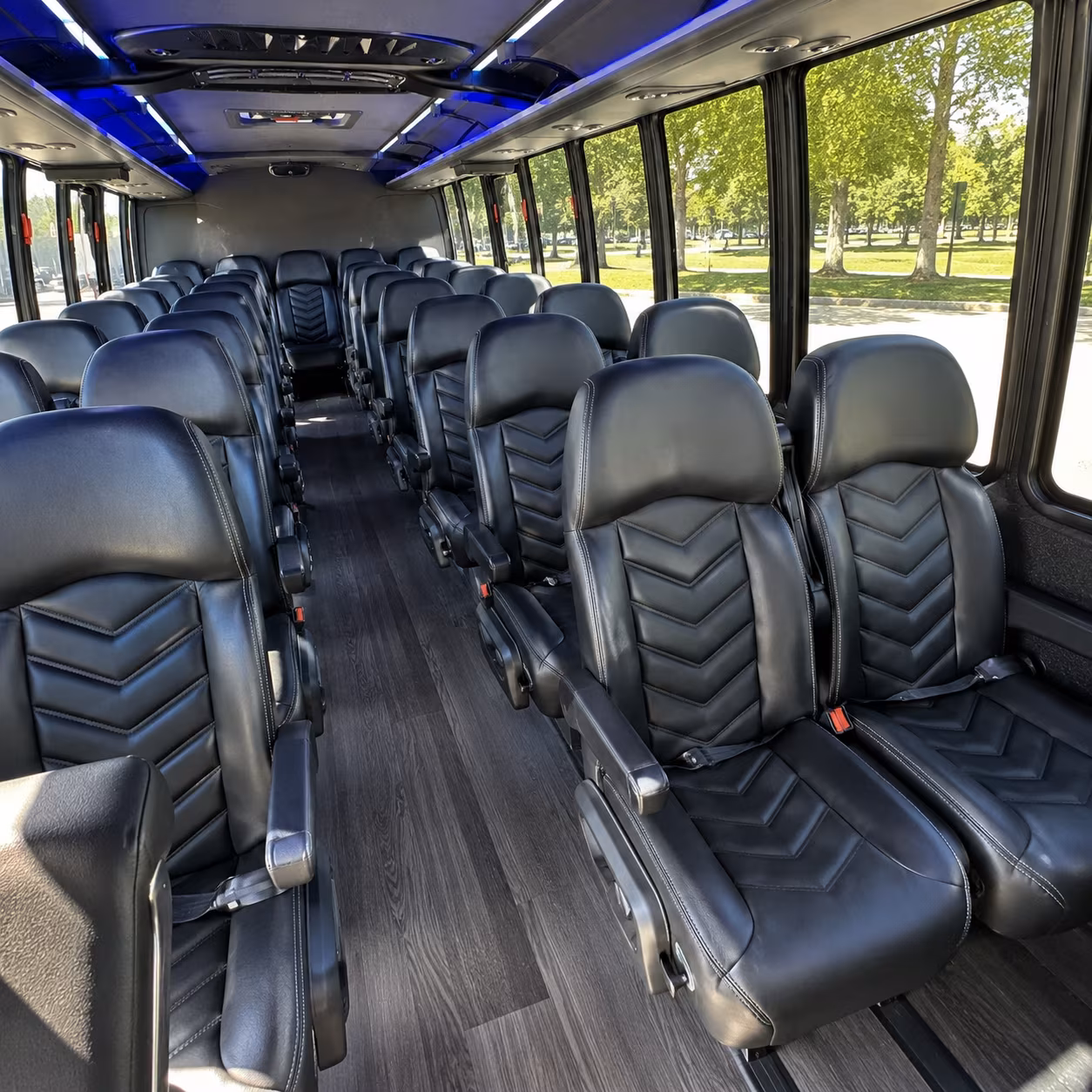 comerica park